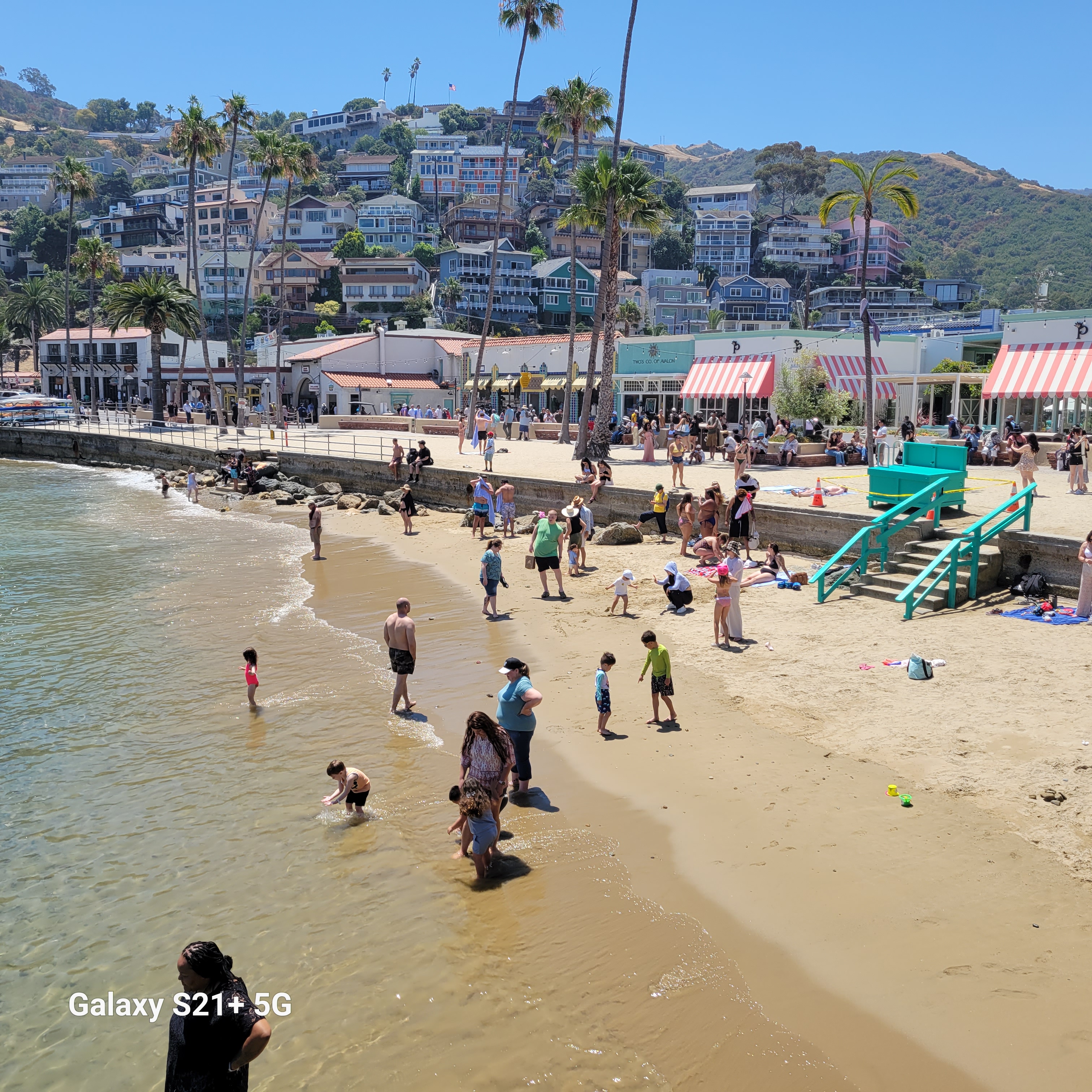 第三天 - 4 晚卡塔利娜島&墨西哥恩森那達之旅 (4 Night Catalina and Ensenada) 照片