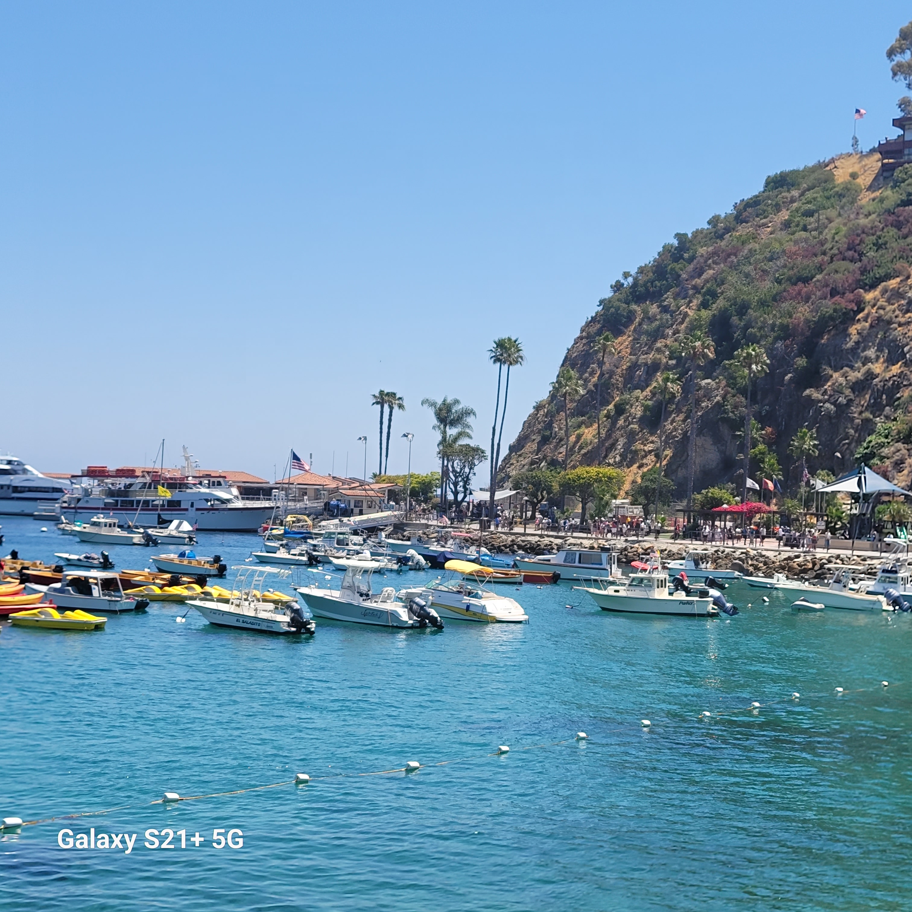 第三天 - 4 晚卡塔利娜島&墨西哥恩森那達之旅 (4 Night Catalina and Ensenada) 照片