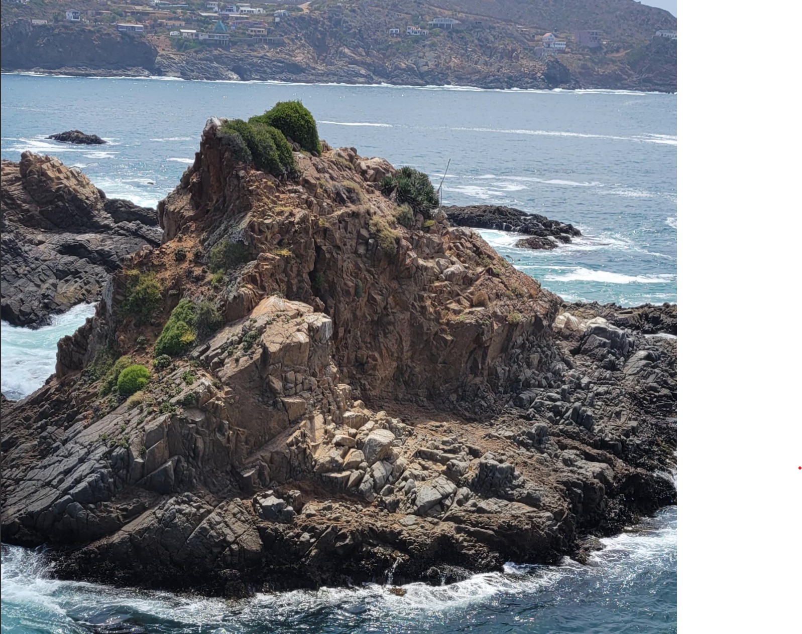 第四天 - 4 晚卡塔利娜島&墨西哥恩森那達之旅 (4 Night Catalina and Ensenada) 照片