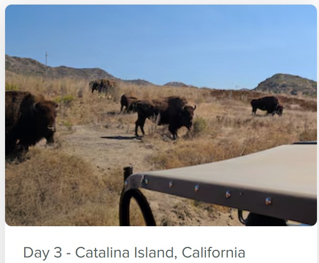 第三天 - 4 晚卡塔利娜島&墨西哥恩森那達之旅 (4 Night Catalina and Ensenada) 照片