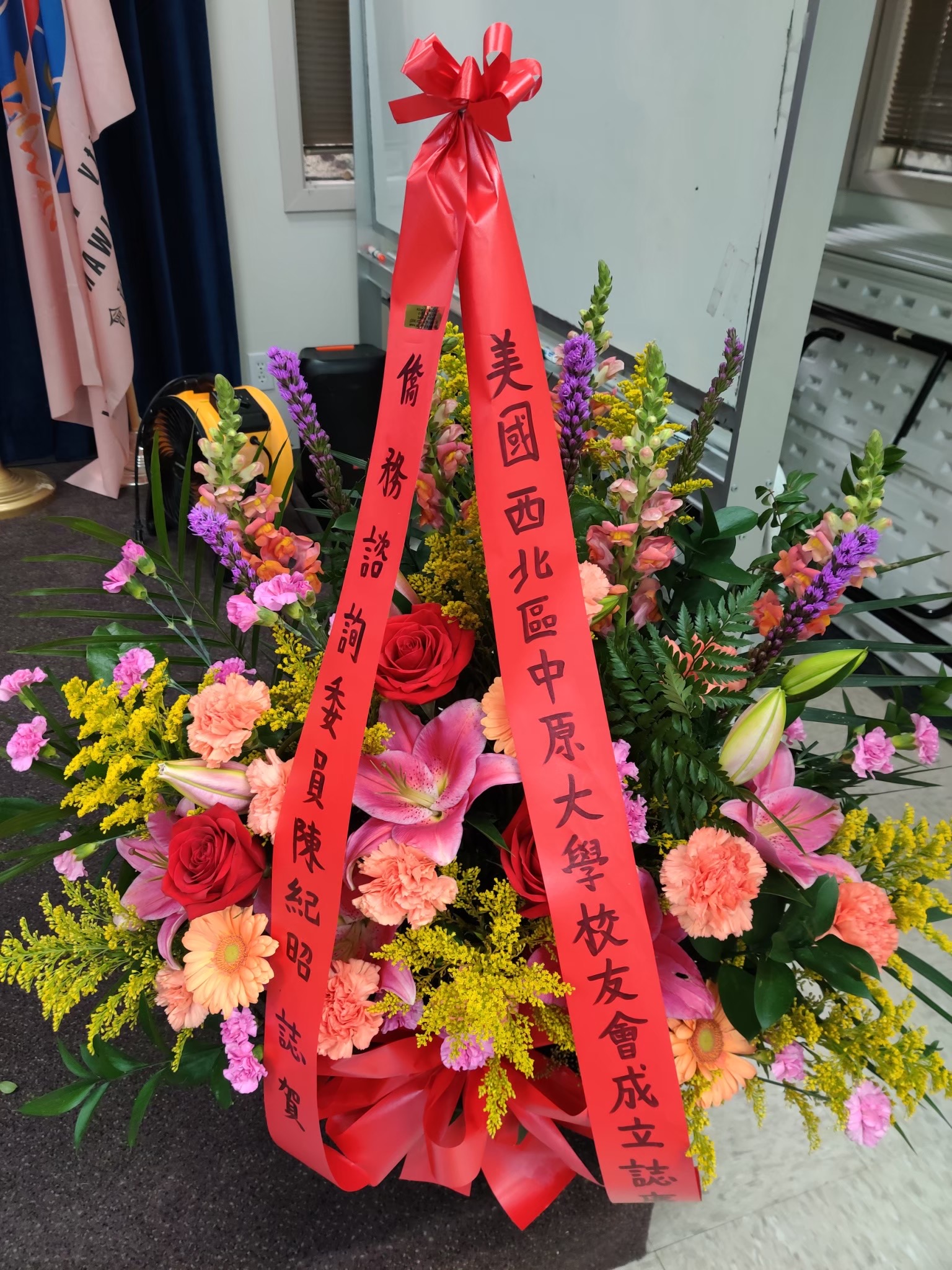  照片